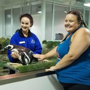 Meet your Posher, Sammi